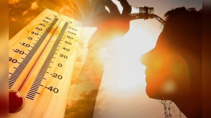 В ВОЗ предупреждают о повышенной нагрузке на систему здравоохранения из-за жары

