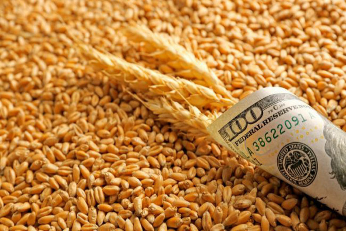 Цена импортируемой в Азербайджан пшеницы резко снизилась