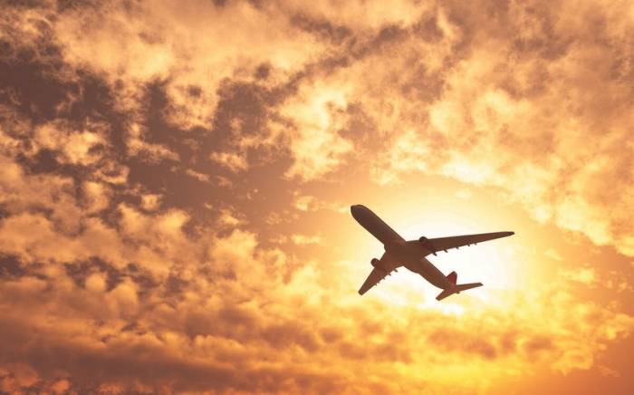 Роспотребнадзор усилил контроль на рейсах из Египта из-за неизвестного заболевания
