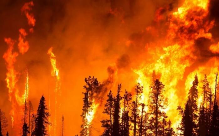 Пожар на юго-востоке Франции уничтожил около 100 гектаров леса
