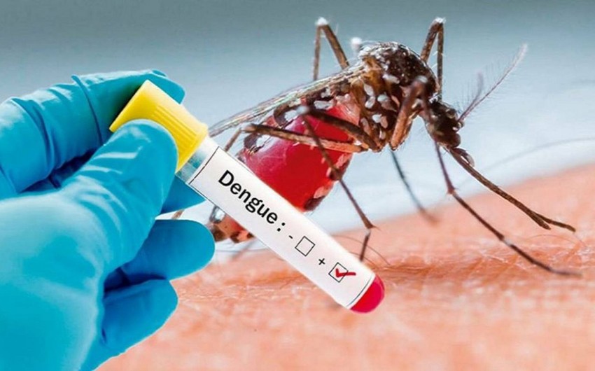 Число умерших от лихорадки денге в Бангладеш достигло с начала года 114