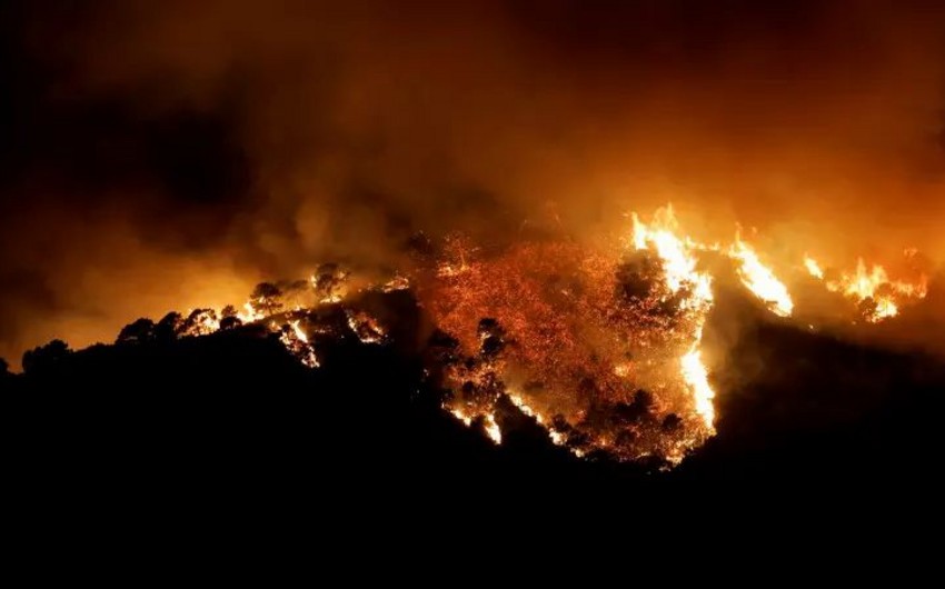 135 человек эвакуированы из-за лесного пожара в Каталонии