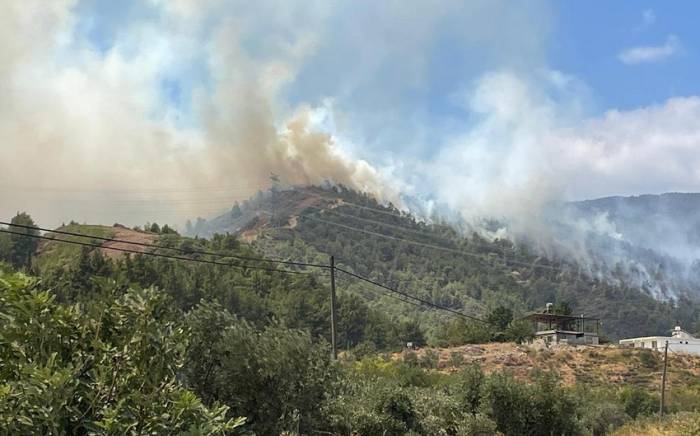 В пригороде Афин пожарные начали эвакуацию трех поселков
