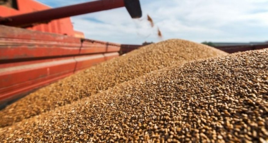 Россия, Турция и Катар готовят новую «зерновую сделку»