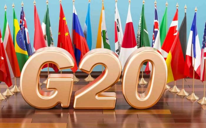 В рамках саммита G20 в Индии могут обсудить ситуацию в Украине
