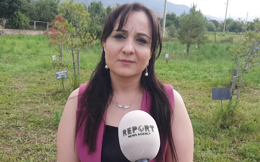Замглавы ИВ Ходжалинского района: Ходжалинцы хотят, чтобы виновники резни были наказаны