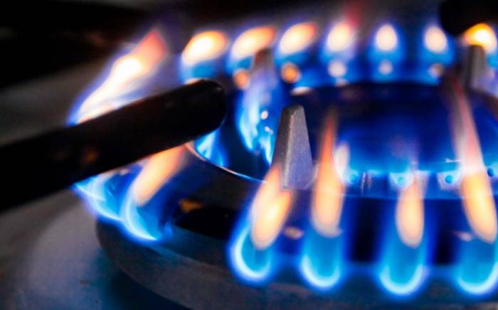 В Азербайджане более 40% потребления природного газа пришлось на население
