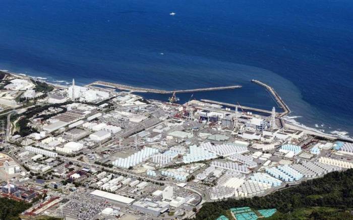 В Южной Корее усилят проверки местных морепродуктов из-за слива воды с АЭС "Фукусима-1"
