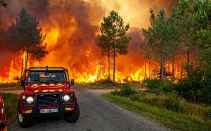 В Португалии из-за лесного пожара эвакуировали 1,4 тыс. человек
