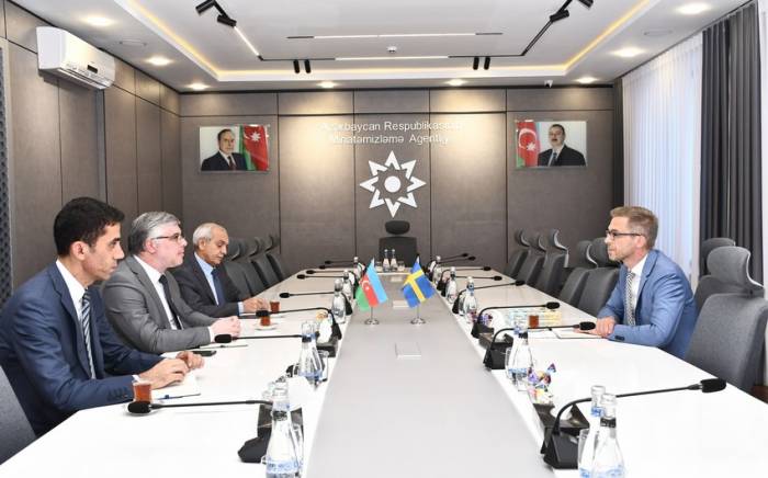 ​​​​​​​Азербайджан и Швеция обсудили возможности сотрудничества в области разминирования
