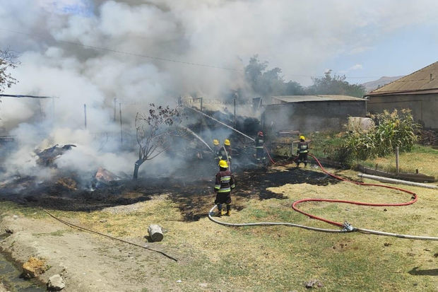 Пожар в Нахчыванской АР: погибло 15 голов скота
