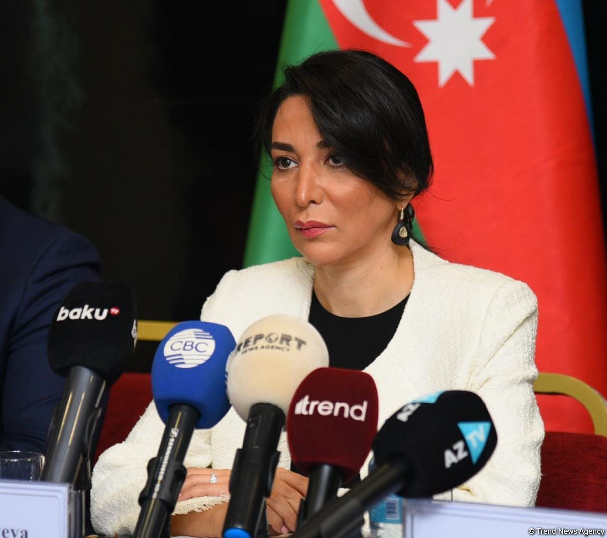 Омбудсмен Азербайджана об отношении к "экспертному мнению" бывшего генпрокурора МУС Окампо
