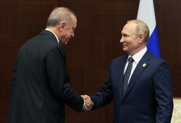 Песков назвал дату переговоров Путина и Эрдогана

