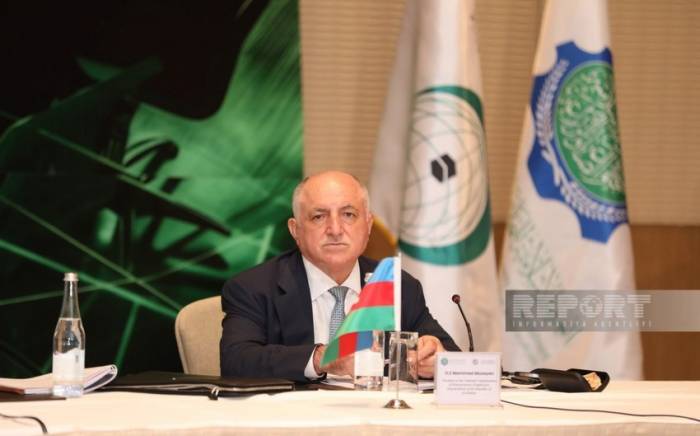 Азербайджан предложил создать единый банк развития тюркоязычных государств
