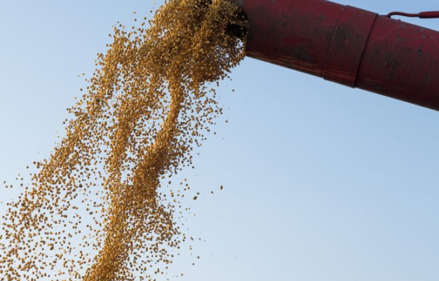 ООН предлагает подключение к SWIFT и разморозку активов в обмен на зерновую сделку