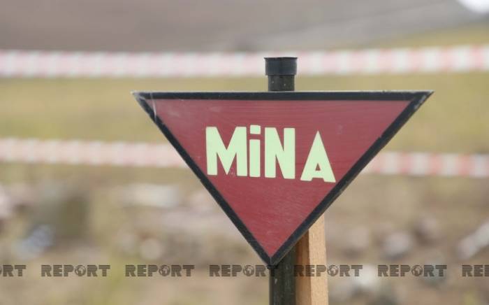 Обнародовано число жертв минного террора Армении
