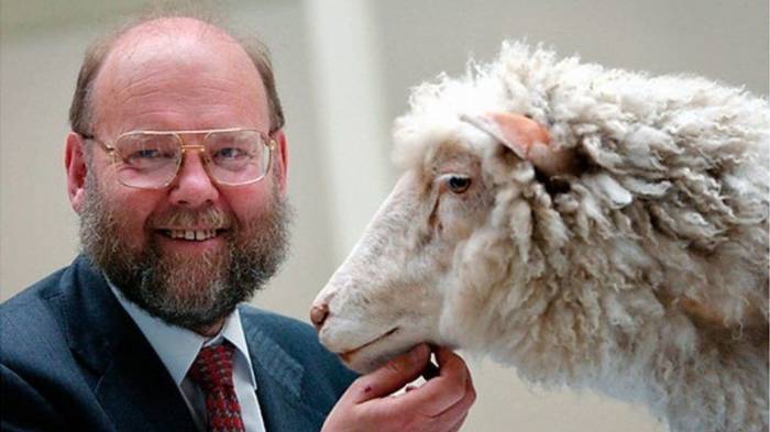Умер генетик Иэн Уилмут — автор эксперимента по клонированию овечки Долли
