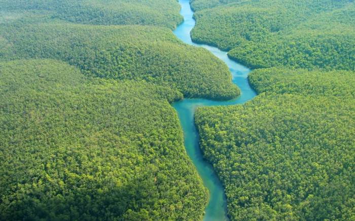 Засуха в бассейне Амазонки стала самой сильной более чем за 20 лет
