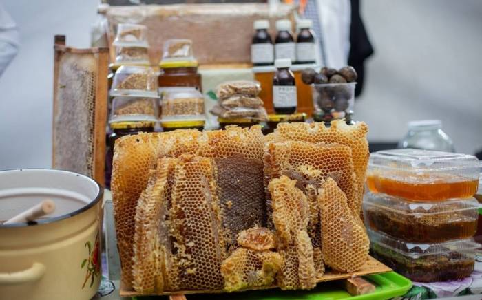 Завтра в Баку стартует ярмарка продукции пчеловодства
