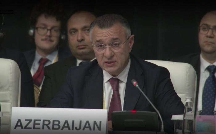 Министр здравоохранения ответил на необоснованные обвинения представителей Франции и Армении
