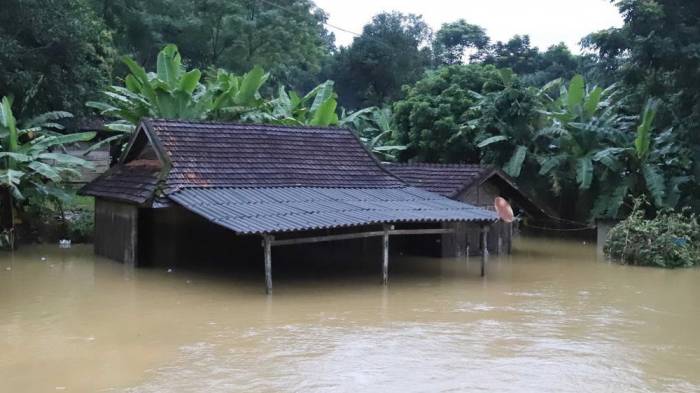 В результате наводнений во Вьетнаме погибли девять человек
