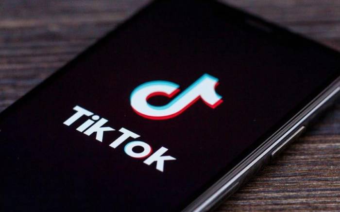 В США считают необходимым создание инструментов для отражения угроз, исходящих от TikTok
