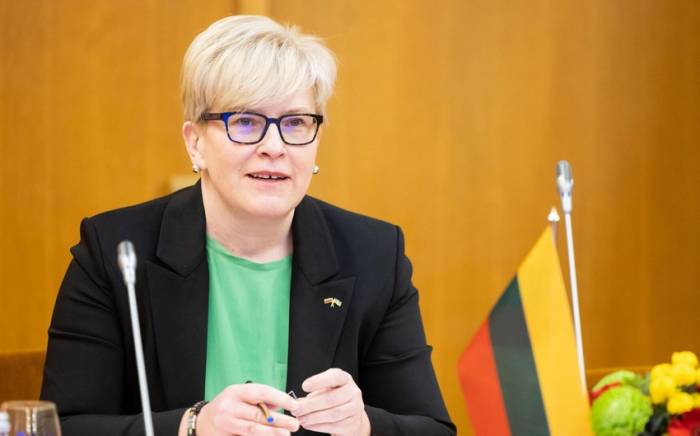 Премьер Литвы намерена претендовать на президентский пост на выборах 2024 года
