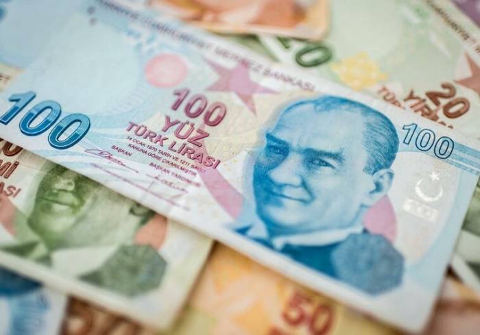 Турецкая лира обновила исторический минимум
