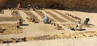 В Египте обнаружили сотни кувшинов с вином возрастом около 5 тыс. лет
