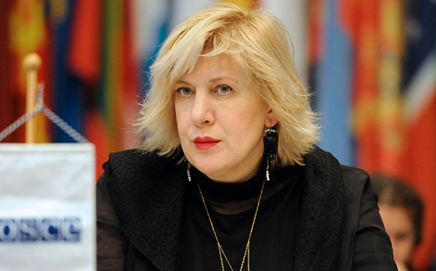 Названа дата визита комиссара Совета Европы в Азербайджан