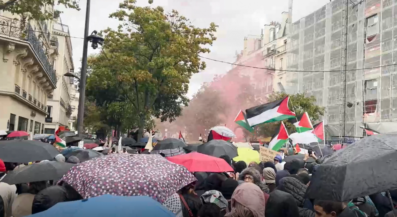 В Париже началась запрещенная властями демонстрация в поддержку жителей Палестины