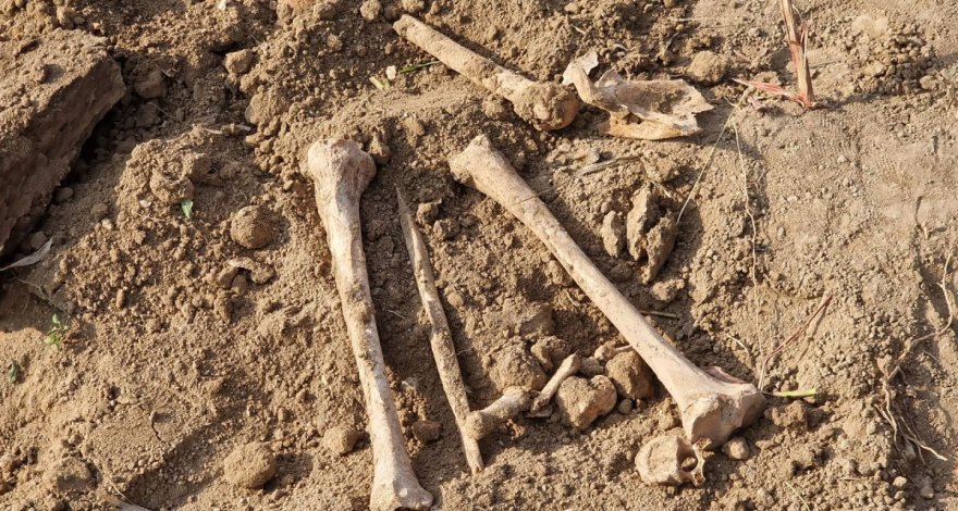 Археологи осматривают могилы, обнаруженные на посевном участке в Агдамском районе