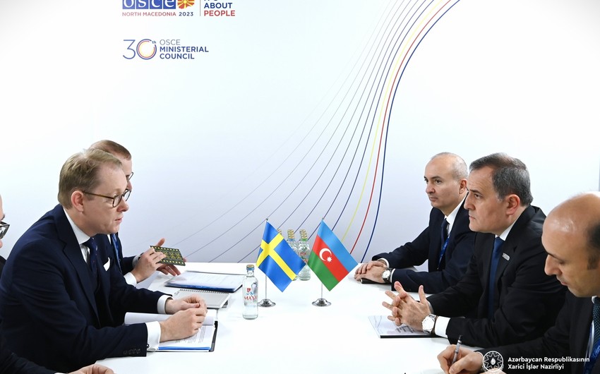 Главы МИД Азербайджана и Швеции обсудили ситуацию в регионе