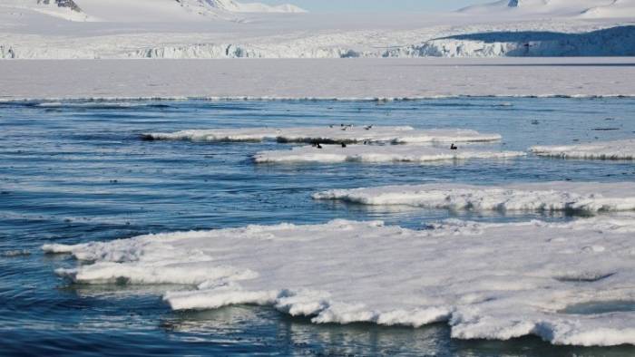 В Арктике зафиксировали самое теплое лето за всю историю наблюдений -УЧЕНЫЕ
