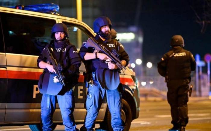 Полиция Вены предупредила о повышенной угрозе терроризма в период Рождества

