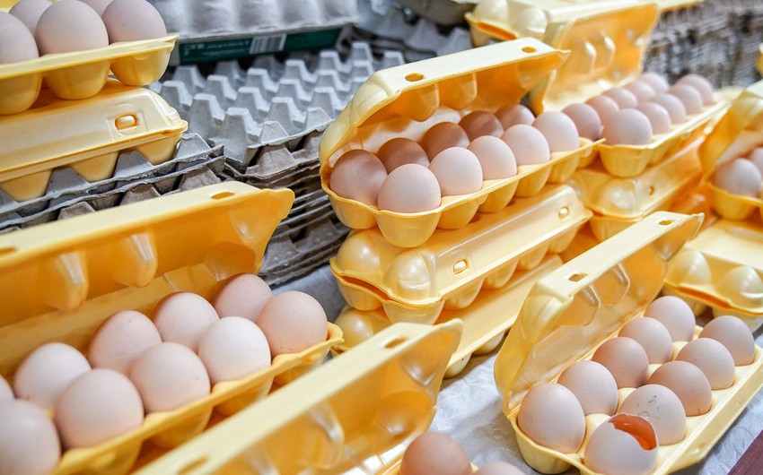 Россия будет импортировать куриные яйца из Азербайджана и Турции