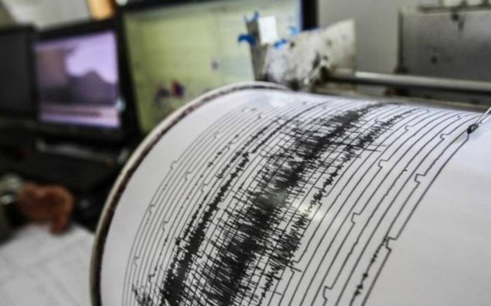 У берегов Омана произошло землетрясение магнитудой 4,9
