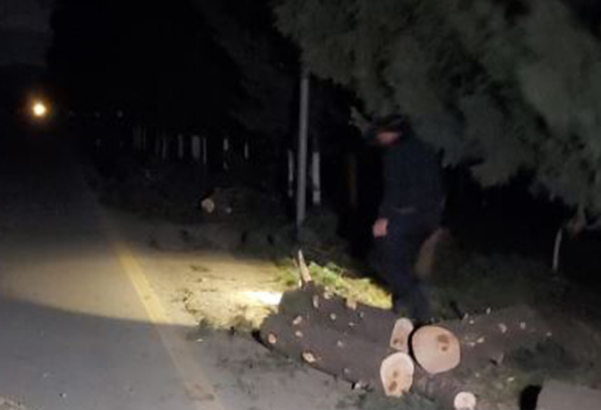 В Азербайджане на машину скорой помощи упало дерево
