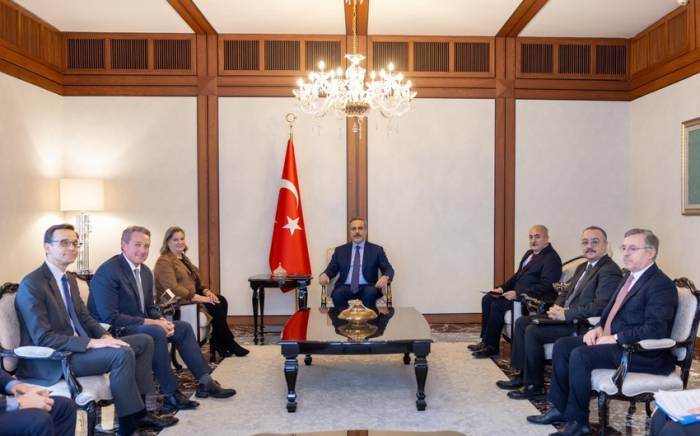 Глава МИД Турции принял заместителя госсекретаря США
