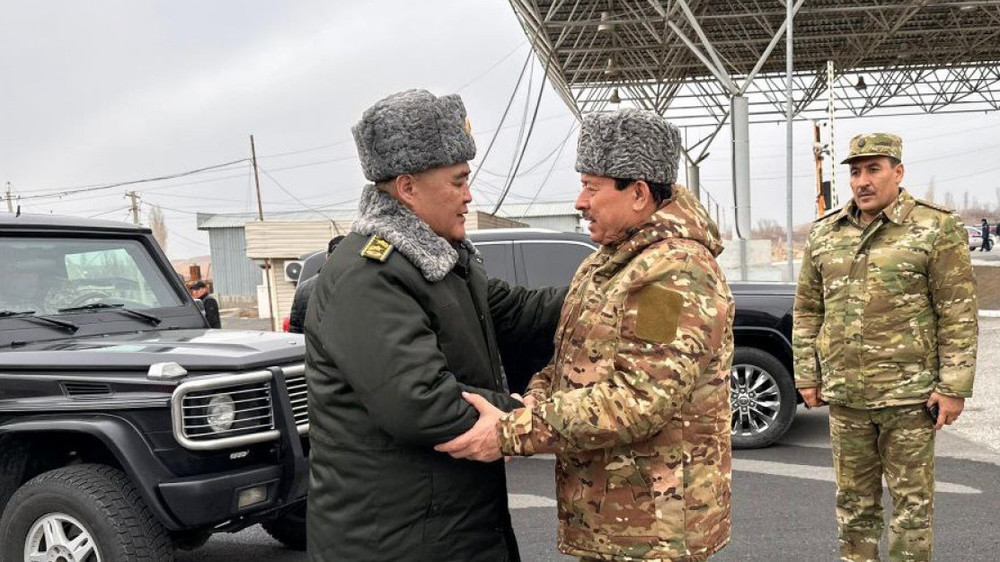 Таджикистан и Киргизия достигли принципиального согласия по вопросам госграницы