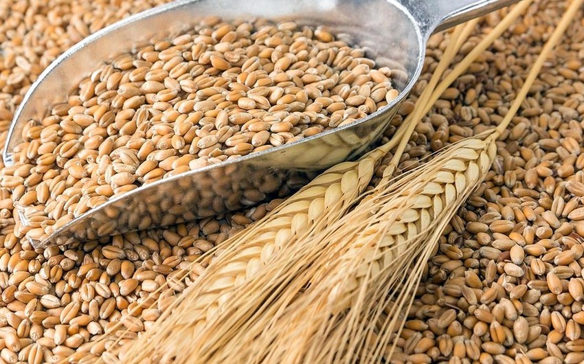 Импорт пшеницы в Азербайджан освобожден от НДС еще на 3 года
