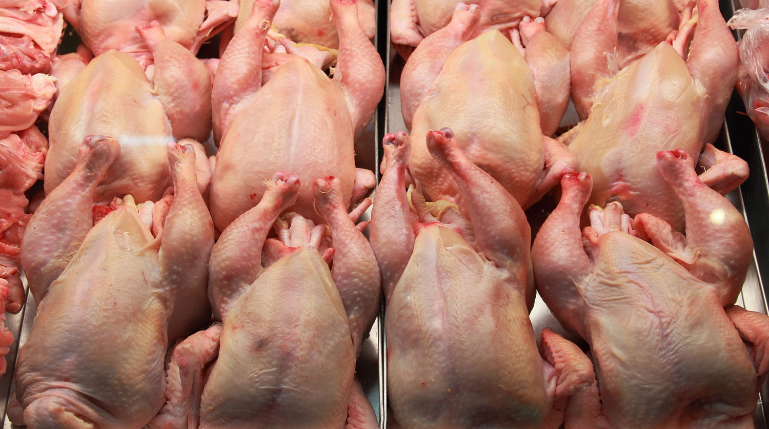 В России заработал беспошлинный ввоз куриного мяса