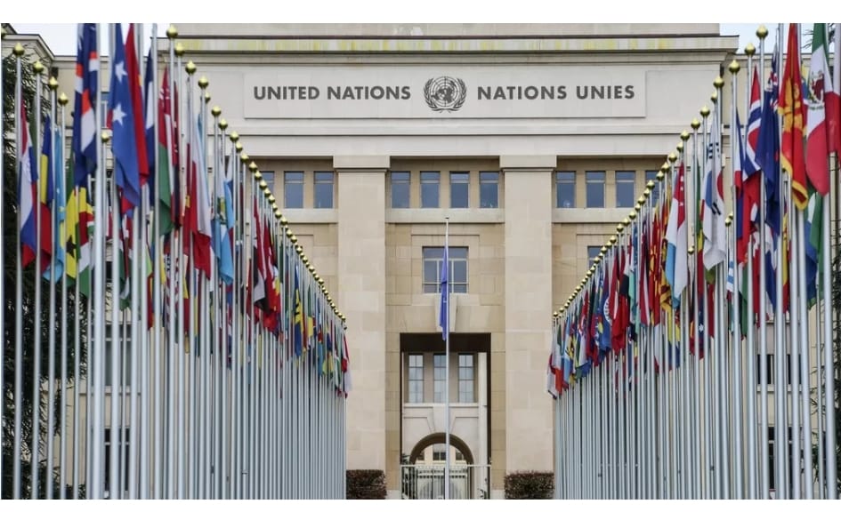 Франция против ООН: Как Париж открыто сотрудничает с сепаратистами