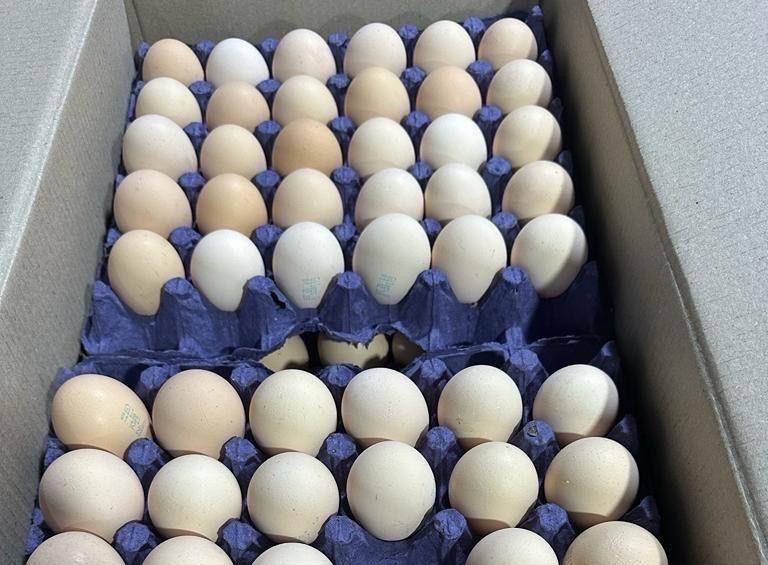 Число ввезенных в Россию яиц из Азербайджана достигло 3 млн штук
