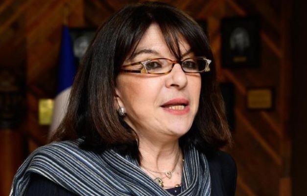 Натали Гуле: Резолюция была принята в угоду армянской диаспоре во Франции