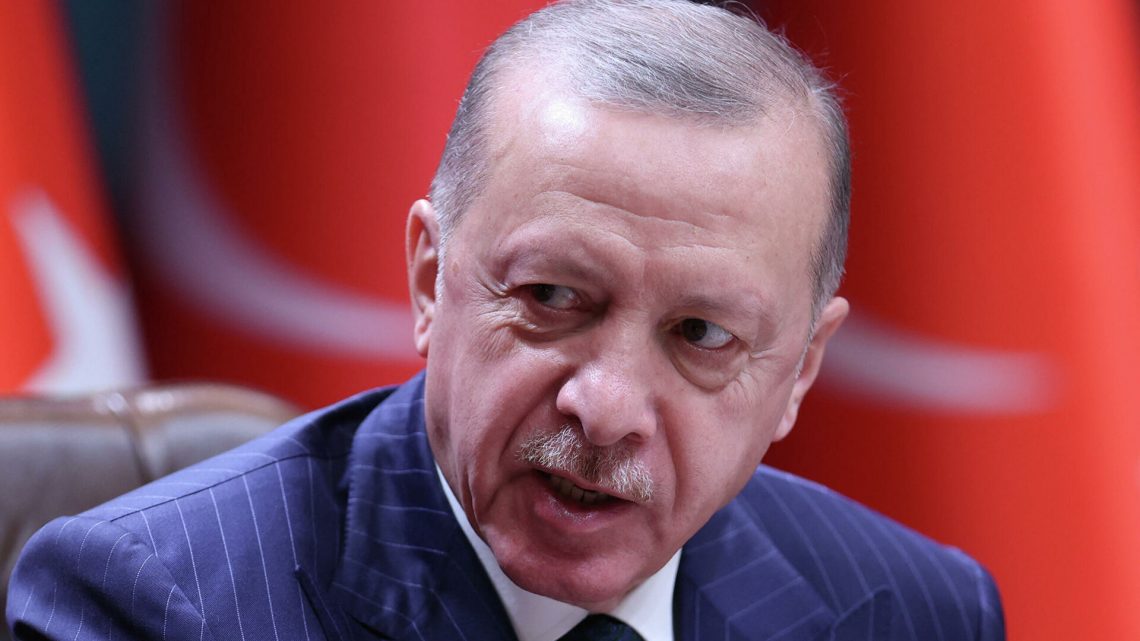 Ситуация в Украине привела к гонке вооружений, заявил Эрдоган