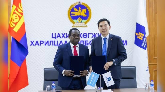 Монголия будет сотрудничать с ООН в переходе к электронному здравоохранению

