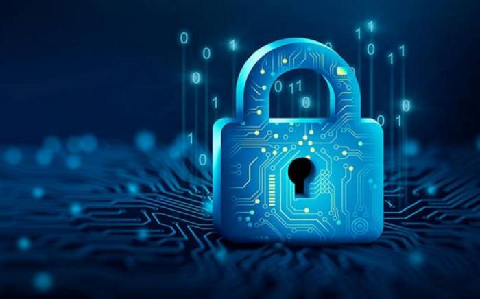 Индия и США запустили первый совместный проект в сфере кибербезопасности

