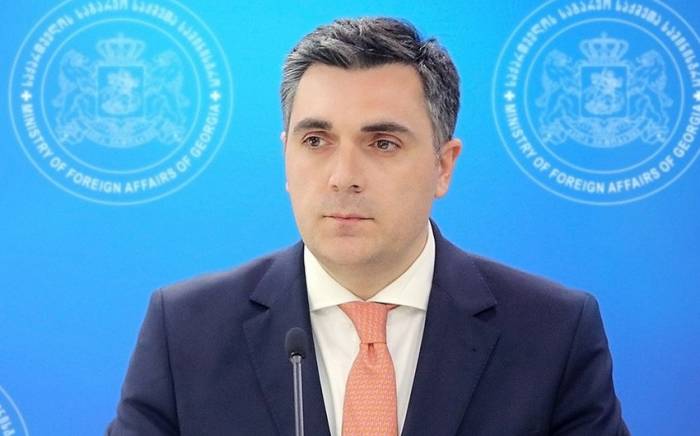Глава МИД Грузии примет участие в сессии Совета ООН по правам человека в Женеве
