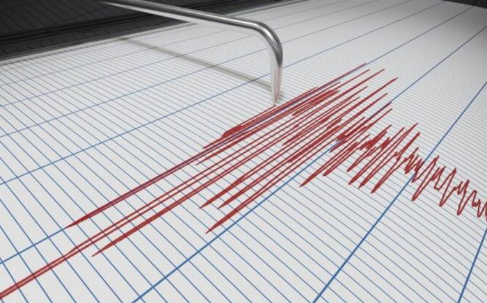 В Мексике произошло землетрясение
